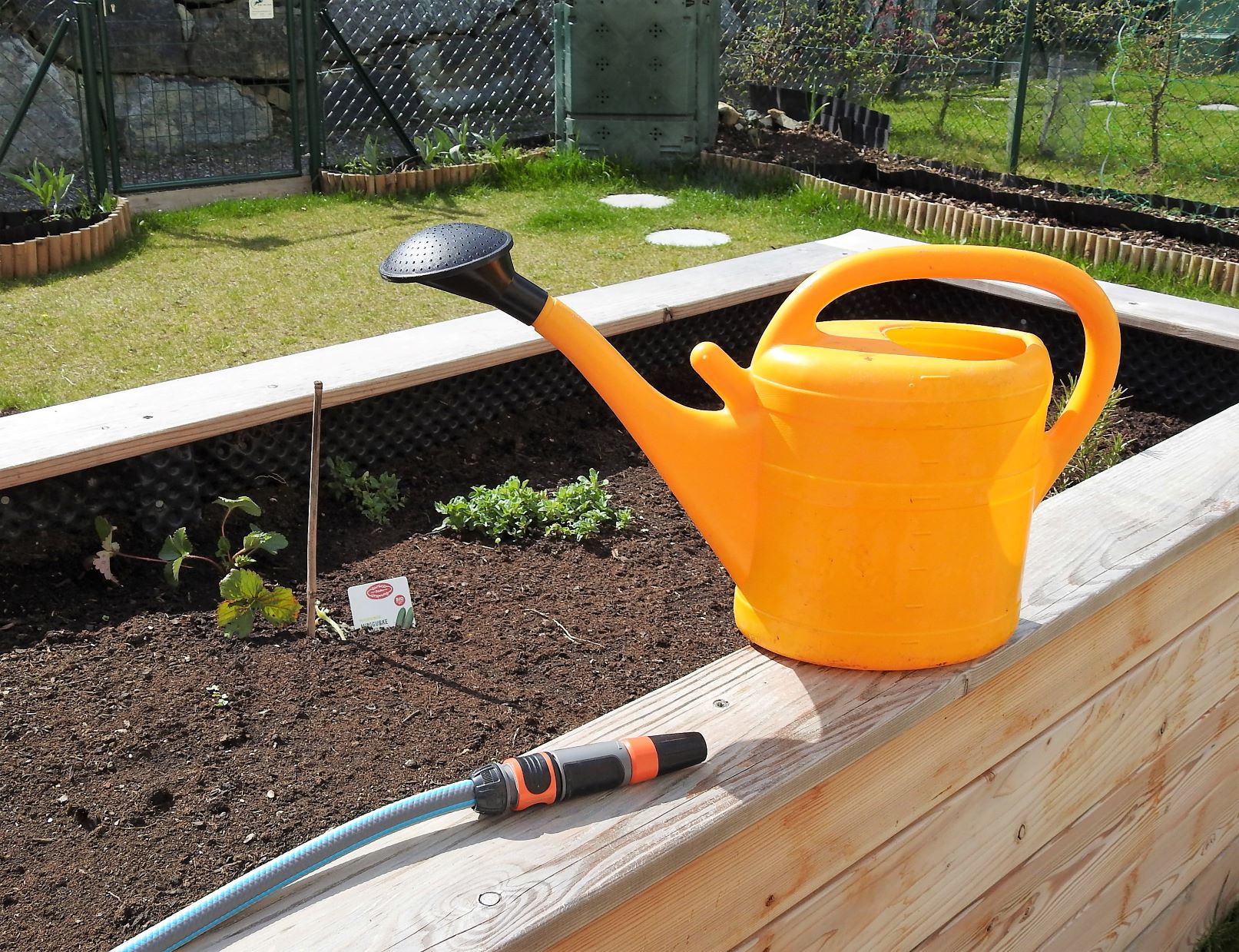 Guten Tag Osterreich Gartentipp Richtig Giessen Spart 50 Prozent Wasser