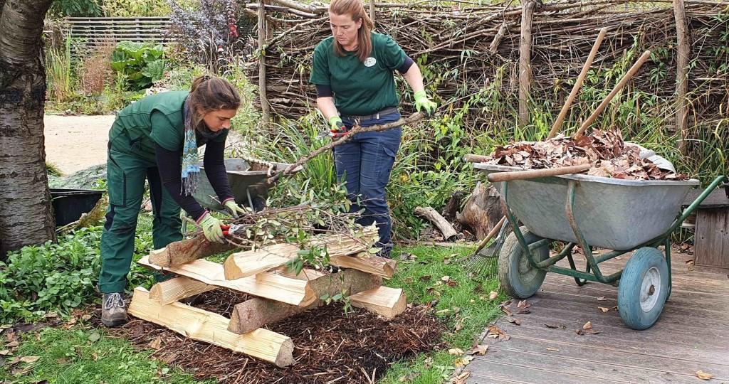 Das Gartenteam der GARTEN TULLN zeigt wie man richtig ein Wintertierquartier für Igel & Co baut (Bildquelle: Natur im Garten/ L. Mayrhofer)