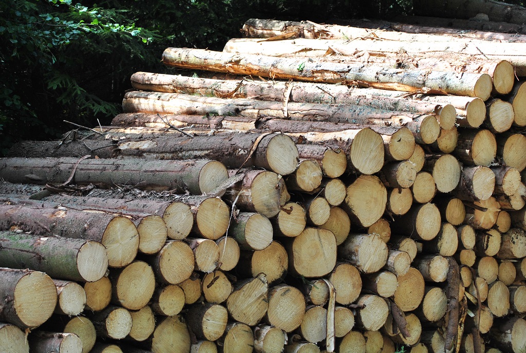 Die NÖ Holzindustrie schlägt Alarm: „Die steigenden Rundholzpreise im Waldviertel sind nicht mehr zu stemmen.“ (Foto: Archiv/Thomas Resch)